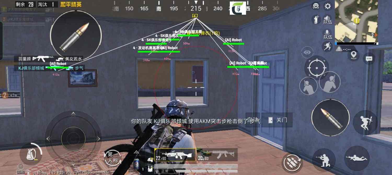 和平精英「毛豆直装」辅助外挂