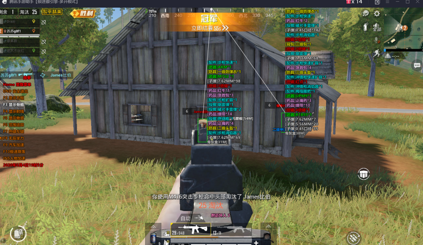 和平精英《北极熊》辅助